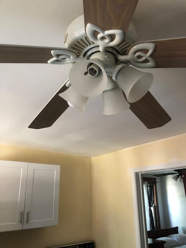 Ceiling fan in kitchen - 3800 Ridgecroft Rd