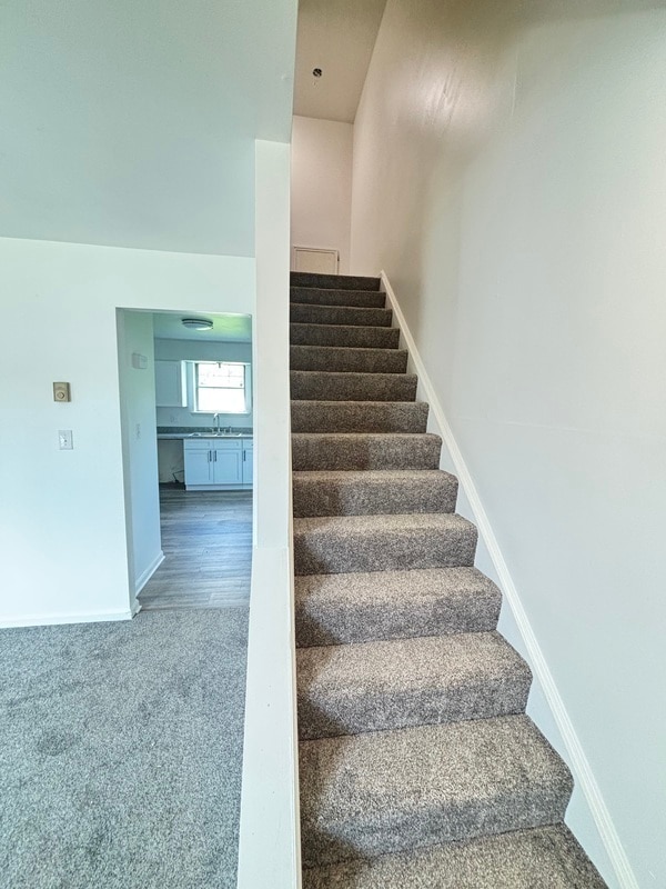 Building Photo - 447 Garland Cir