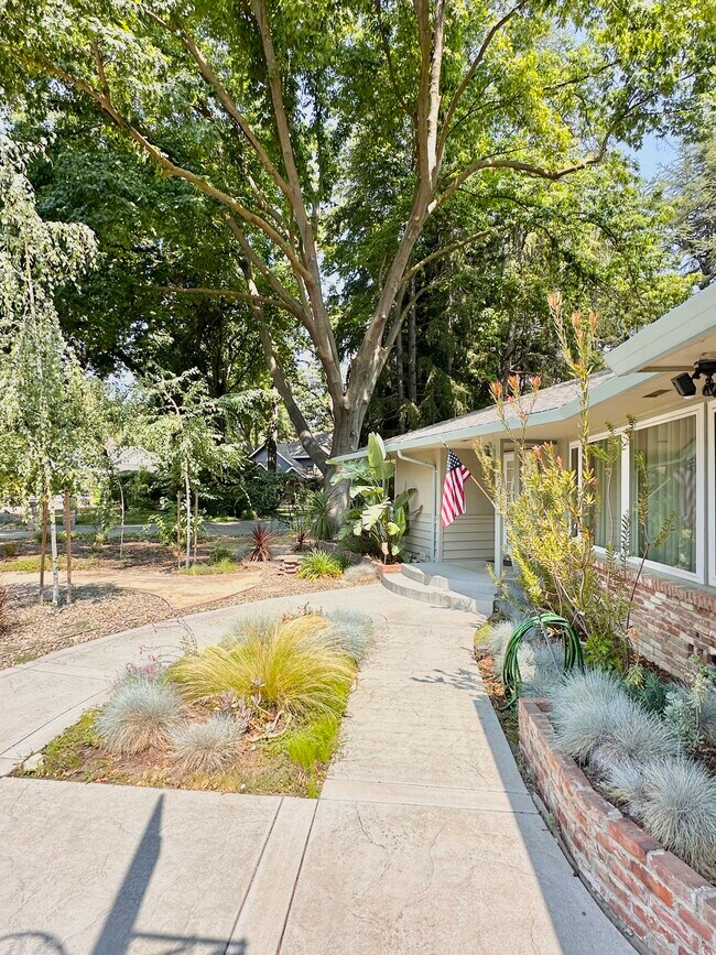 Building Photo - 991 Piedmont Dr