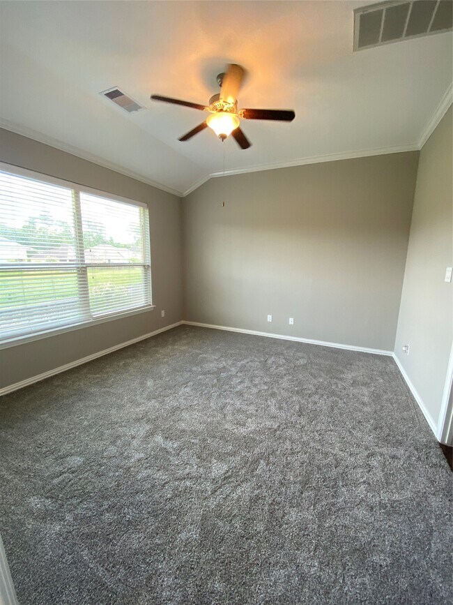 Building Photo - 42 Black Swan Ct