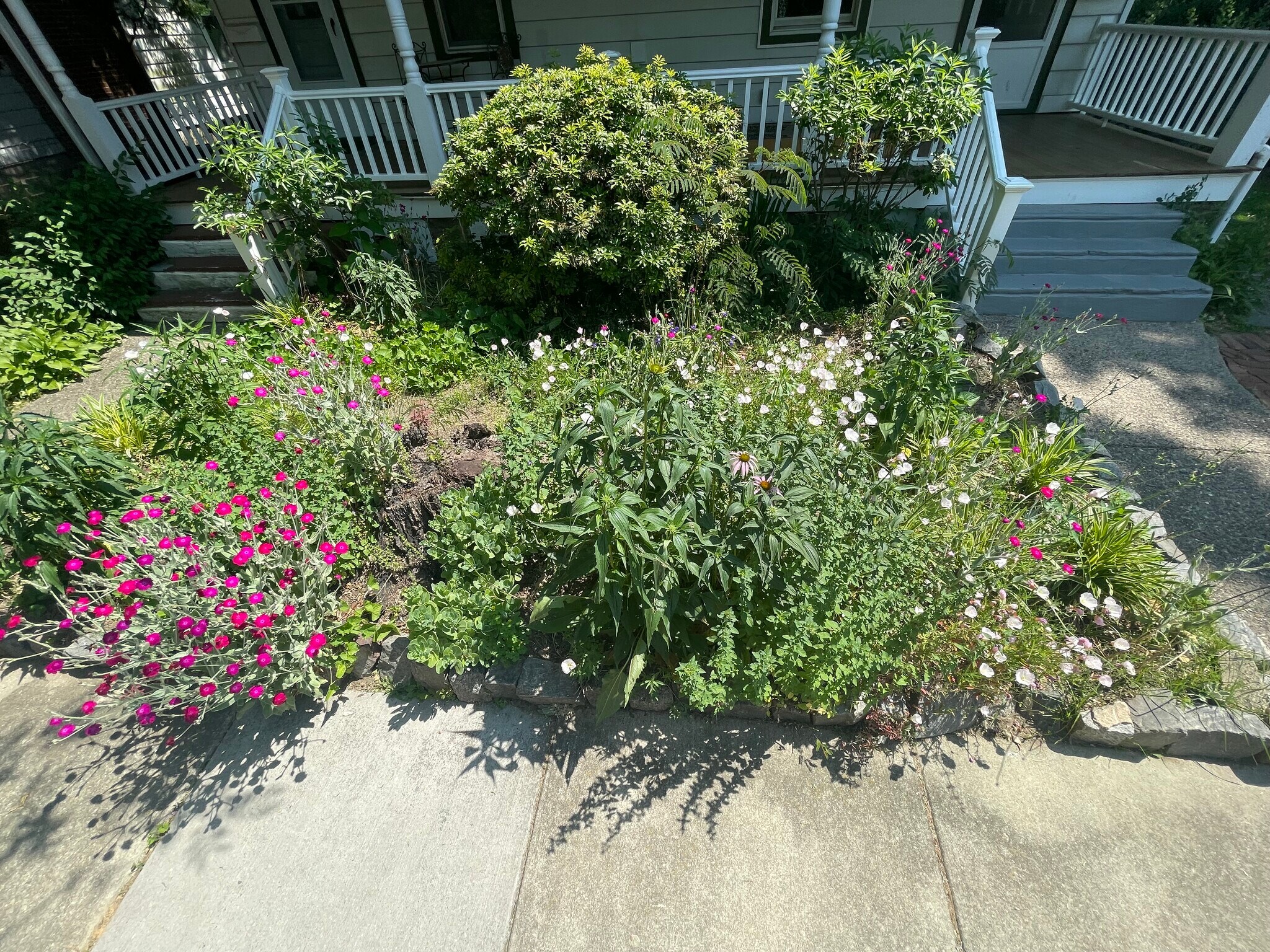 Front - 210 Mannion Ave