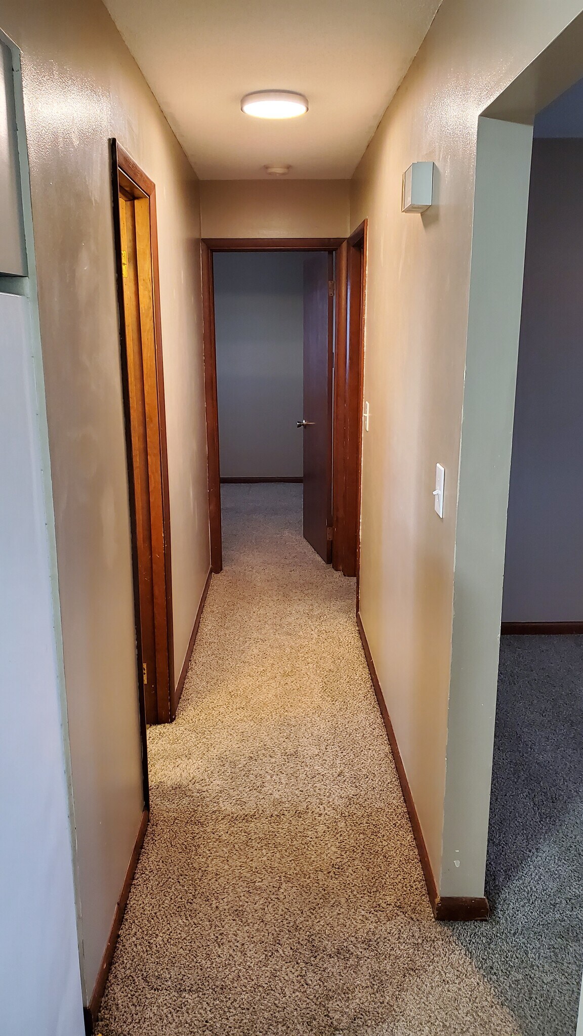 Building Photo - 519 N Patsy St