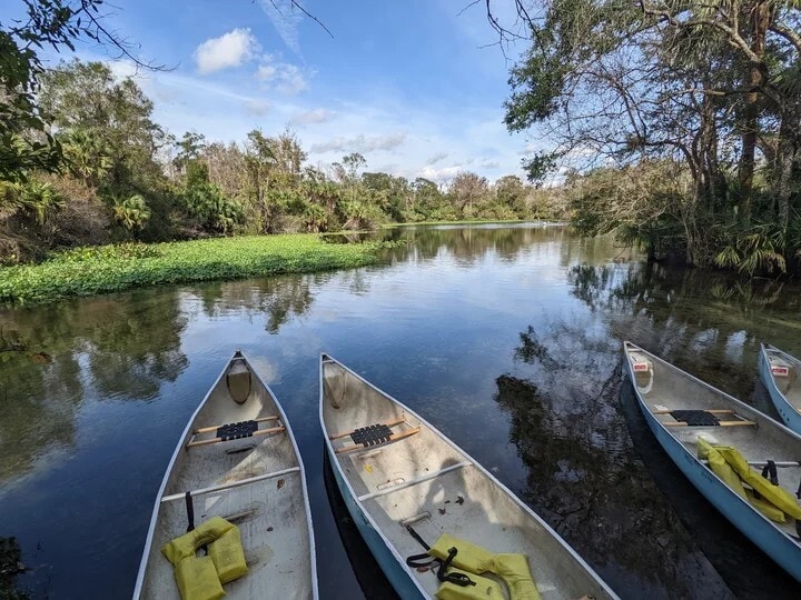 Wechiva Springs Canoeing - 433 Homer Ave