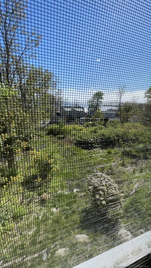 Building Photo - 299 Nahant Rd
