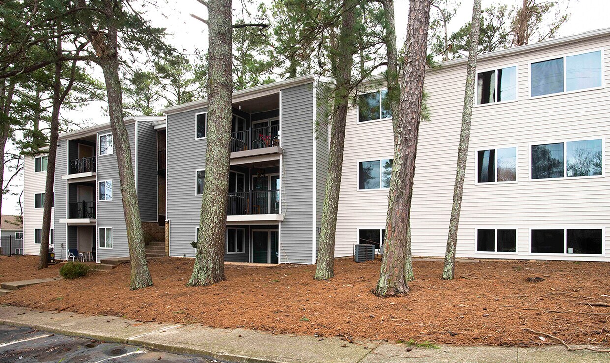 Azure At Riverside Austell Ga Apartment Finder