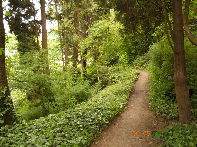 Nature Trail - 2836 SW Sam Jackson Park Rd