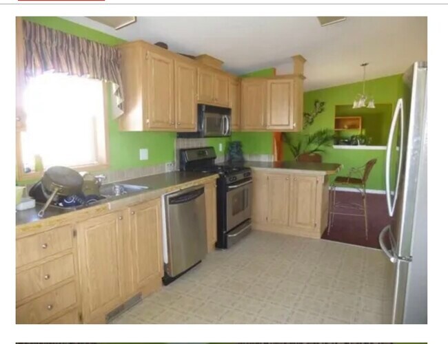 30 Red Coachman Ln 30 Red Coachman Ln Fairplay CO 80440 Apartment