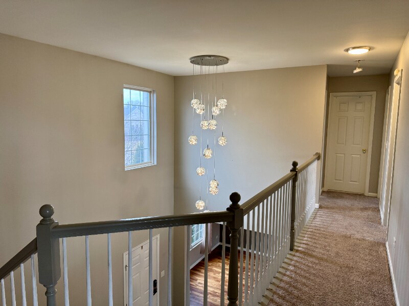 Building Photo - 11319 Maplewood Dr