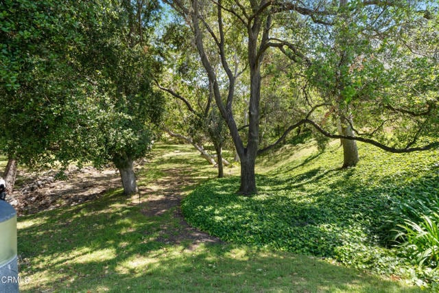 Building Photo - 6526 Lada Ave