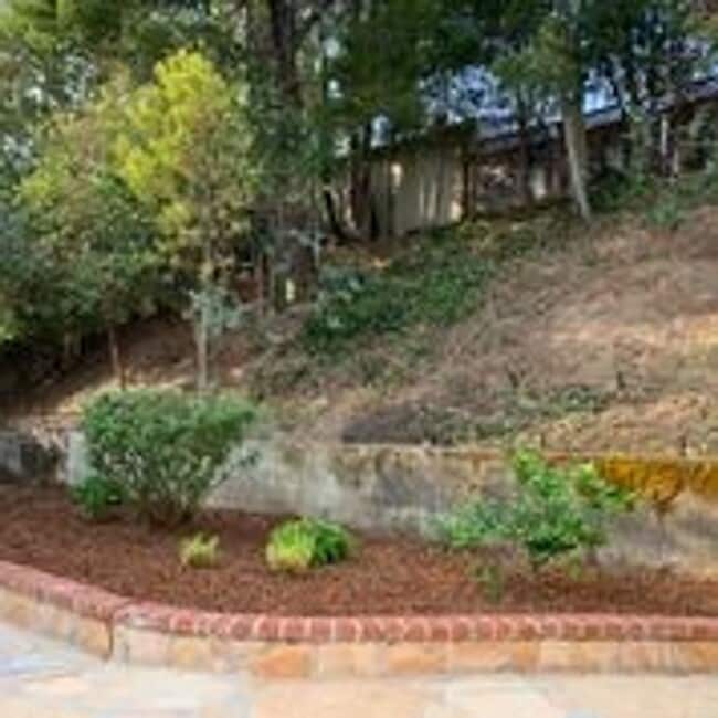 Building Photo - Indoor/outdoor living, spacious 4/2 on a quiet street in Mills Estates