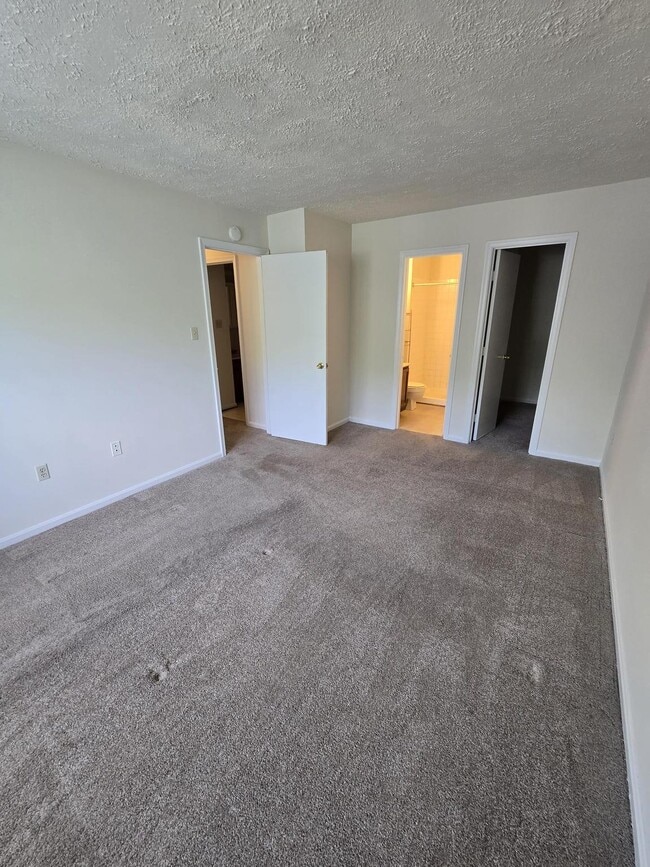 Building Photo - 4054 Cottontop Ct