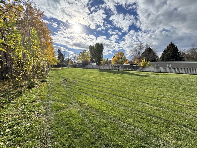 Building Photo - 813 N 15th Ave