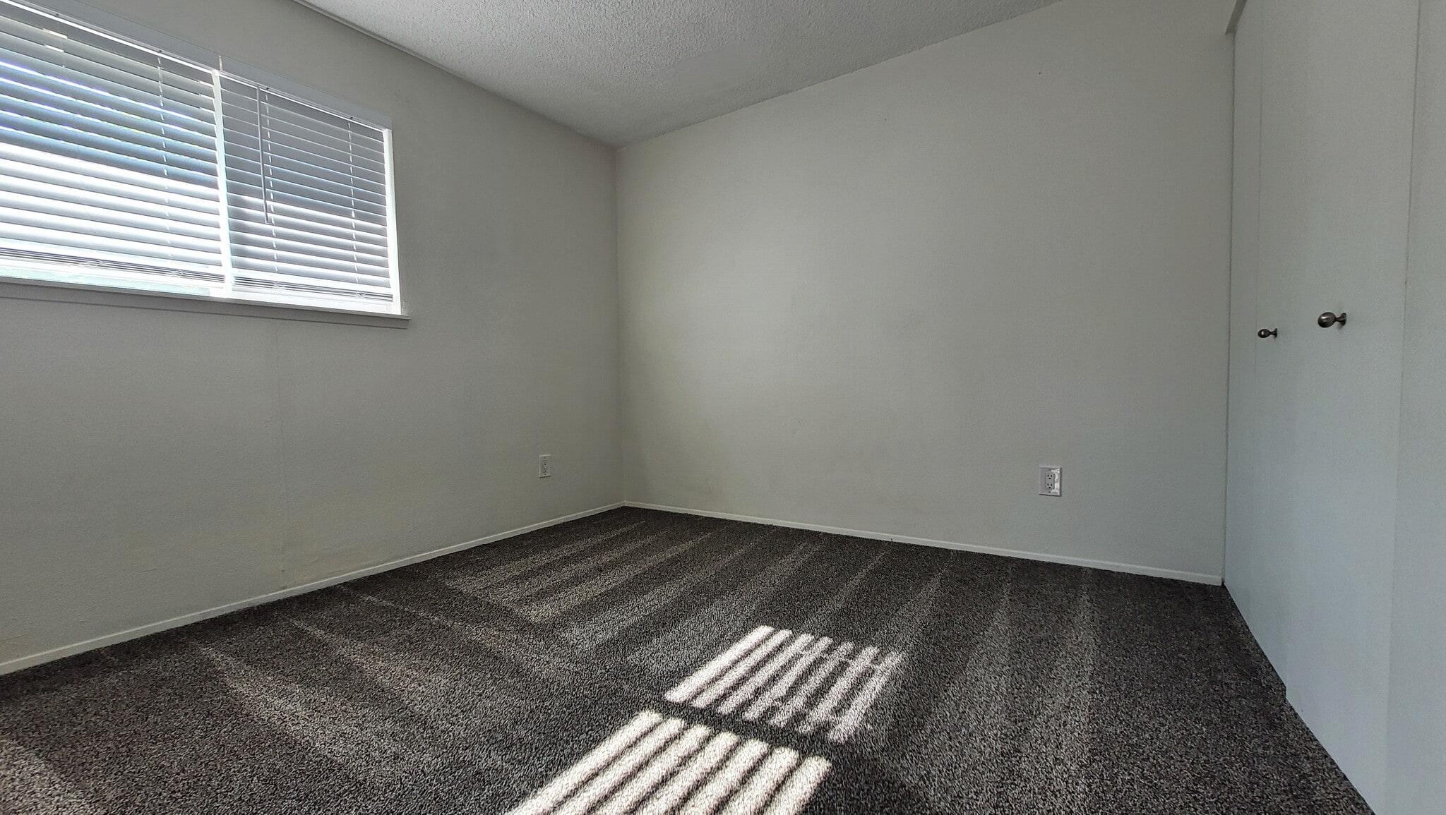 Primary Bedroom - 1311 Glen Mary Dr SE