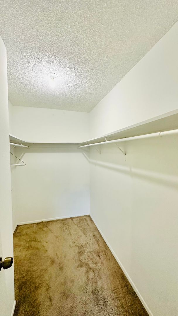 Building Photo - 2 bedroom 2 bath Condo in Temple Terrace a...