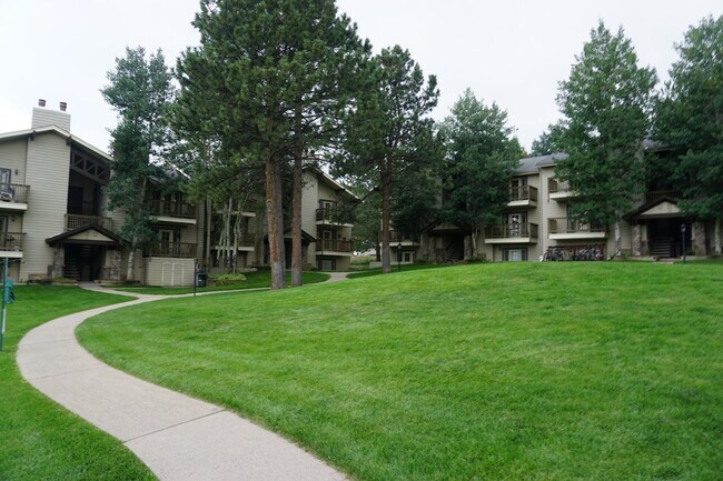 Primary Photo - Two Bedroom One Bath on Buffalo Park!
