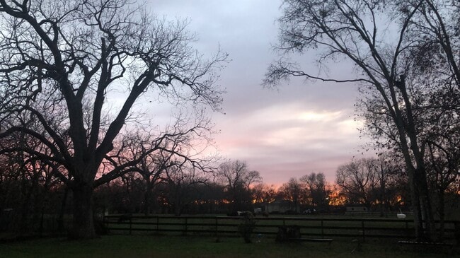 Building Photo - 36215 Ft Bend County Line Rd