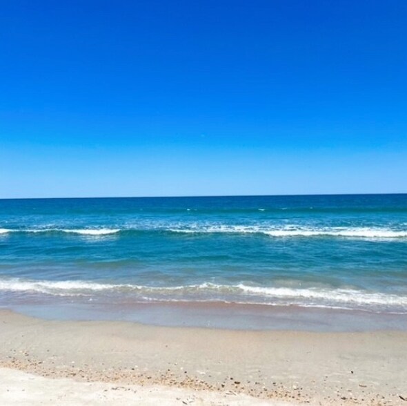 Building Photo - 3145 Coastal Hwy