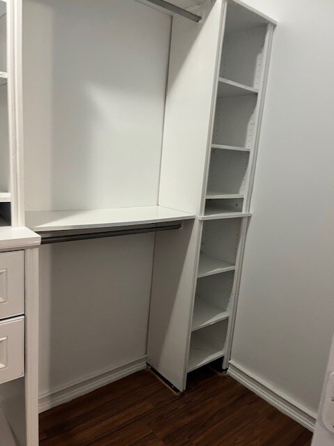 inside closet 2nd bedroom right side - 1391 Park Ave