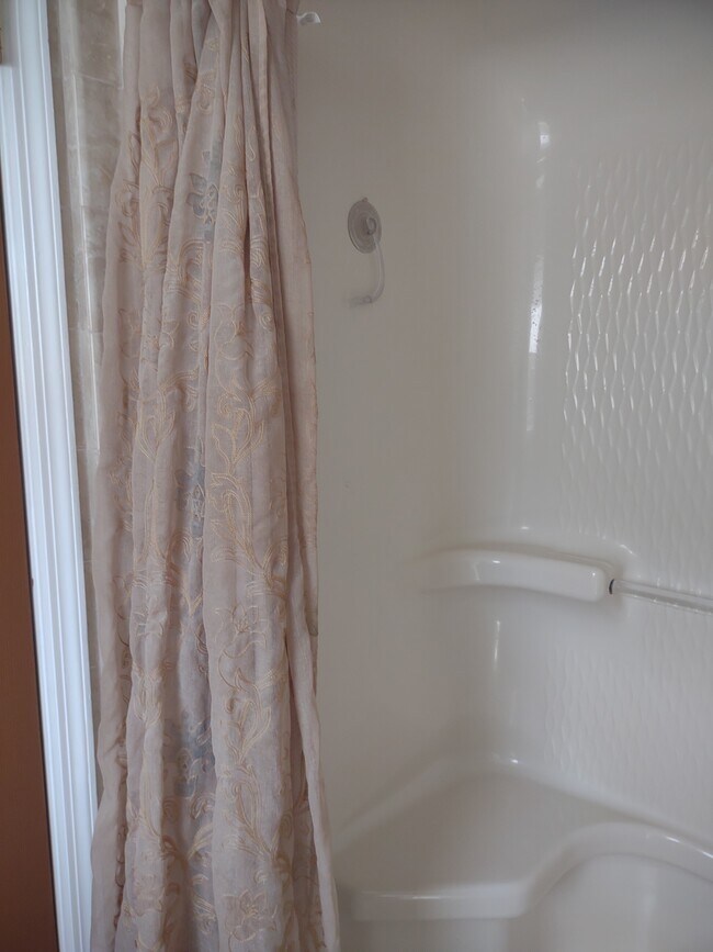 Master Bedroom Shower - 120 Arrow Lands Trl