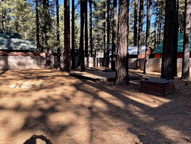 Building Photo - Tastefully remodeled cabin avail. 11/1/24 ...