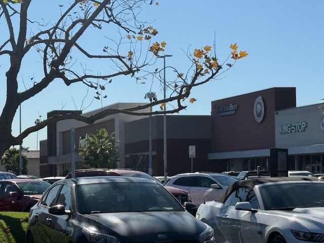 Building Photo - 1667 S Westmoreland Blvd