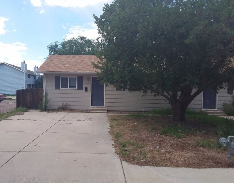Primary Photo - 313 N Race St