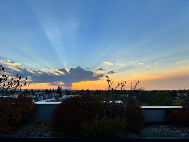 Building Photo - Stunning condo in Downtown Bozeman