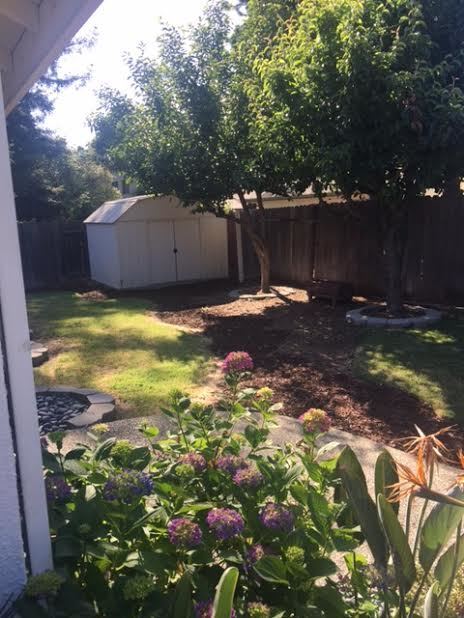 Building Photo - South Natomas One Story Great Location 4 b...