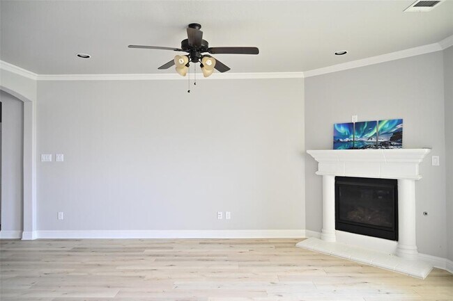 Building Photo - 504 Mistflower Springs Dr