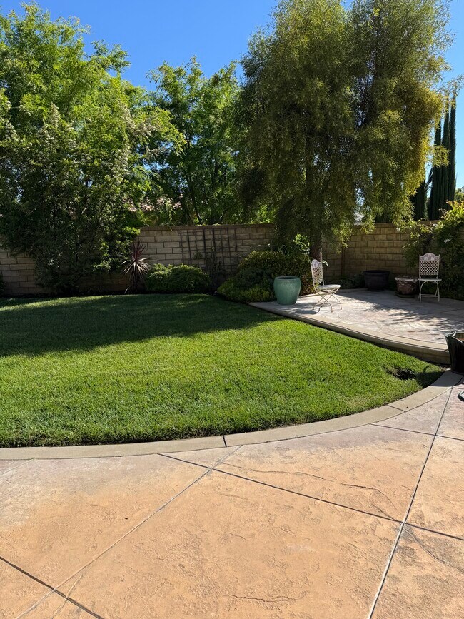 Large fenced backyard - 25621 Mesquite Ct