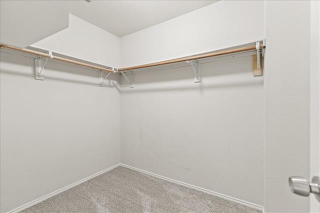 Building Photo - 3920 Malibu Sun Dr