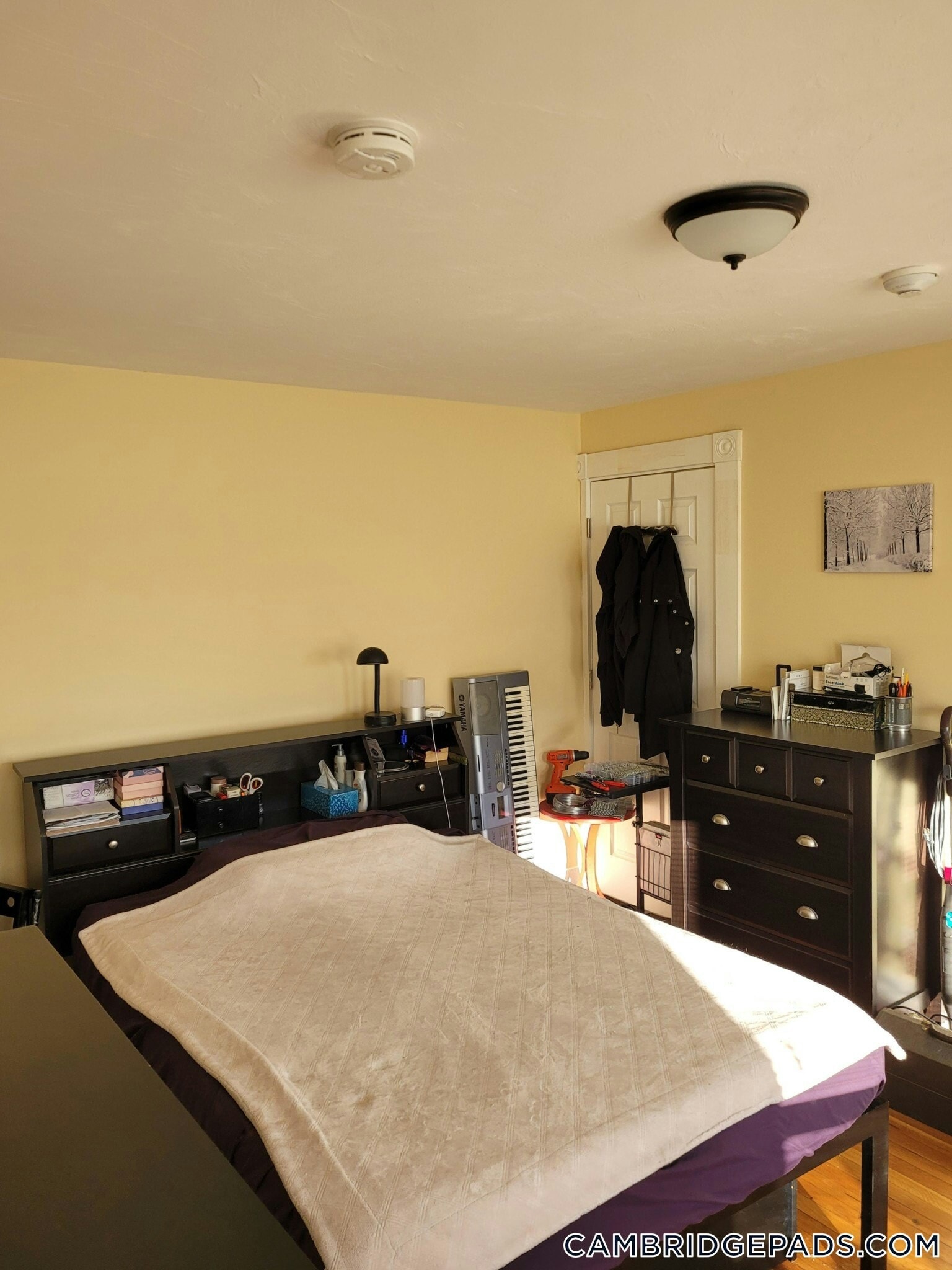 Building Photo - 5-7 Blake St.