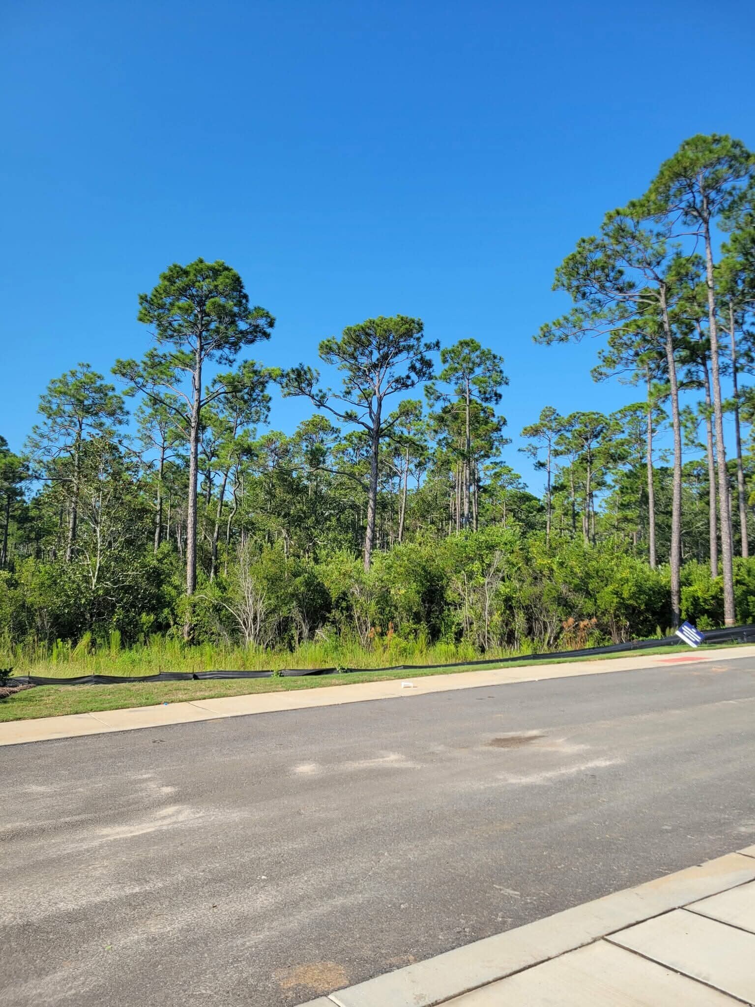 View from front door - 4209 Lost Bay Dr