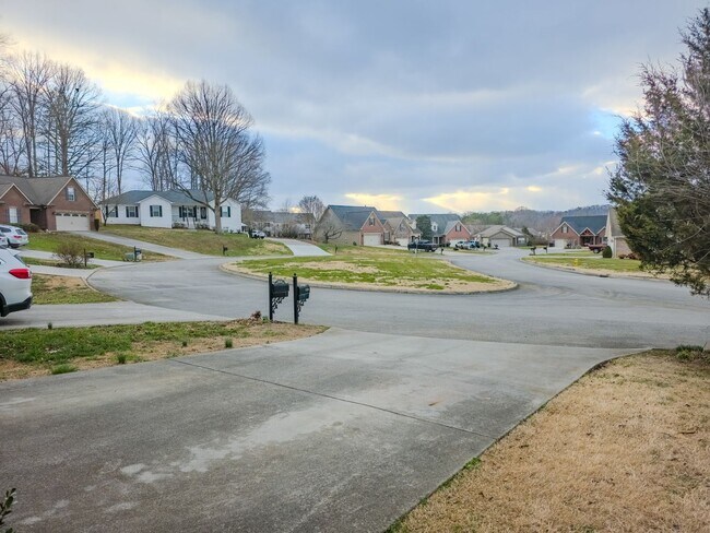 Building Photo - Knoxville 37931 - 4 bedroom 2.5 bath - call Ryan Fogarty 865-333-4840