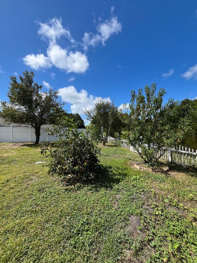 Building Photo - 209 Royal Palms Ave