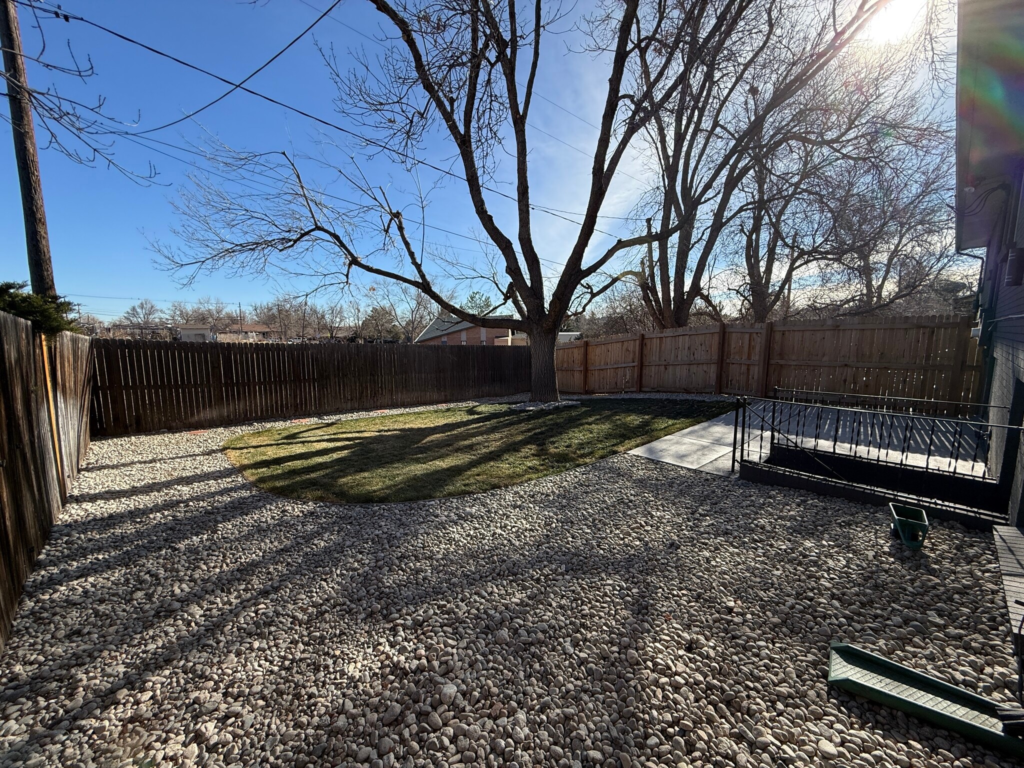 New Yard - 5918 Newcombe Ct