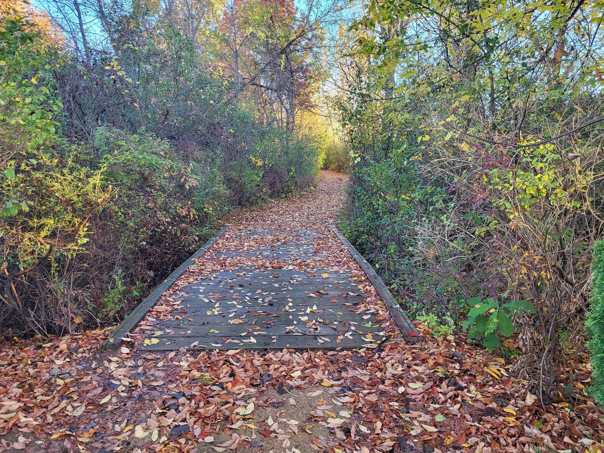 Building Photo - 11737 21 Mile Rd