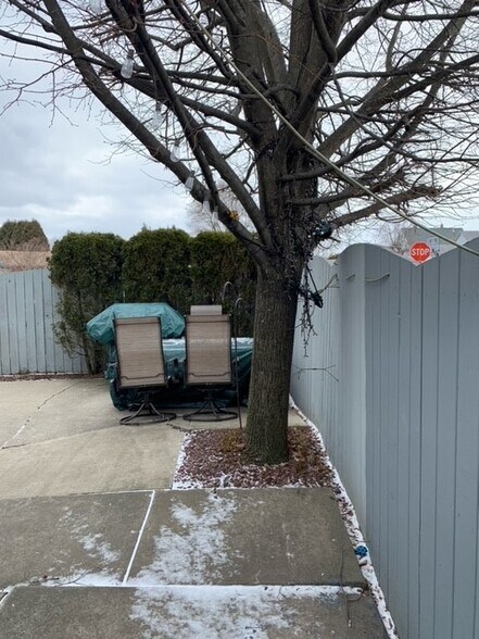 Back Patio - 5 Mruck St