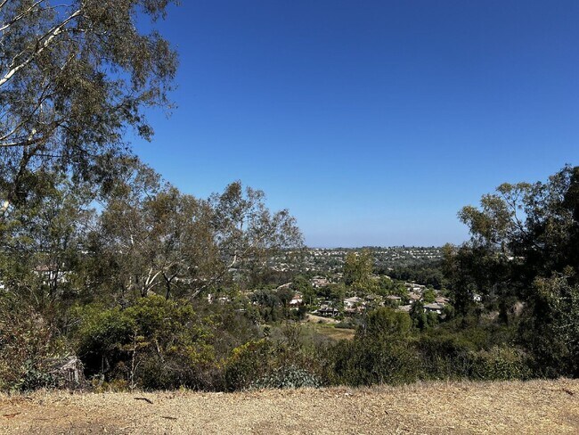 Building Photo - 3036 Avenida Christina