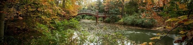 Building Photo - 732 Scotland St