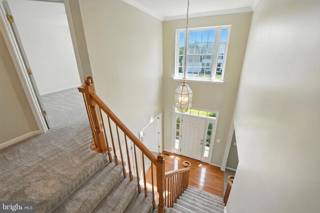 Building Photo - 9144 Big Springs Loop