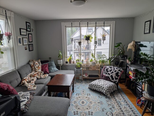 Building Photo - 11 Kearney St