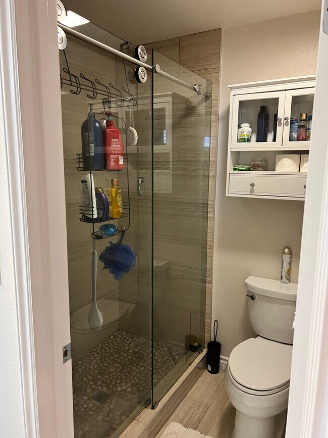 Master bathroom shower area - 89 E Commonwealth Ave