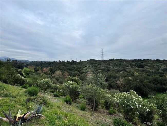 Building Photo - 2142 Iron Club Dr