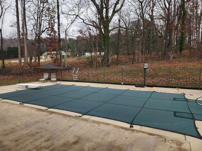 Building Photo - Saltwater Pool