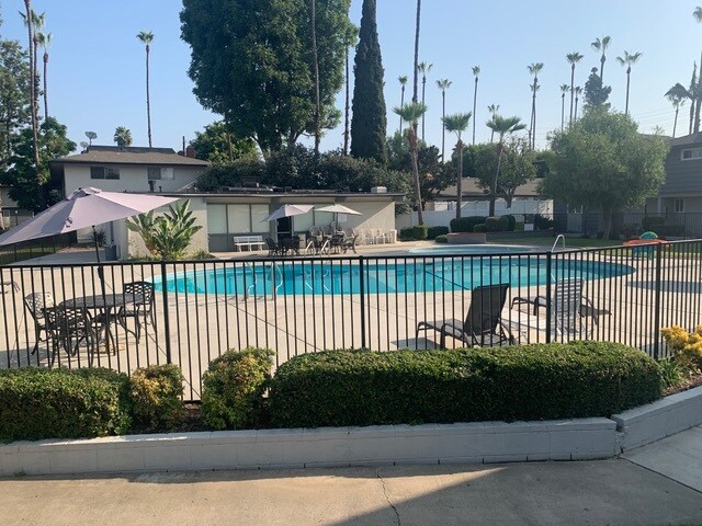 Pool and Rec Room area - 1441 Prospect Ave