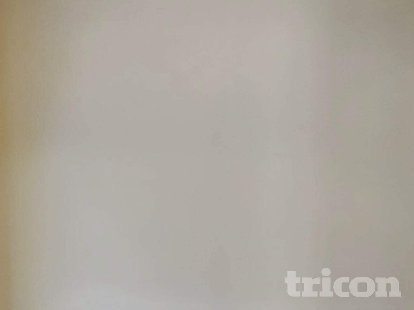 Building Photo - 303 Collingwood Ln