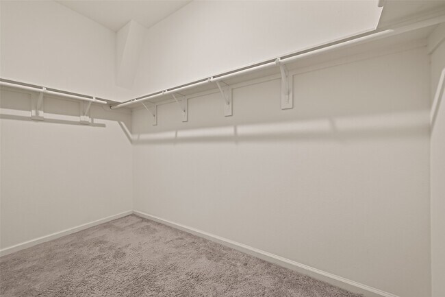 Building Photo - 1037 Lacebark Pne Ln