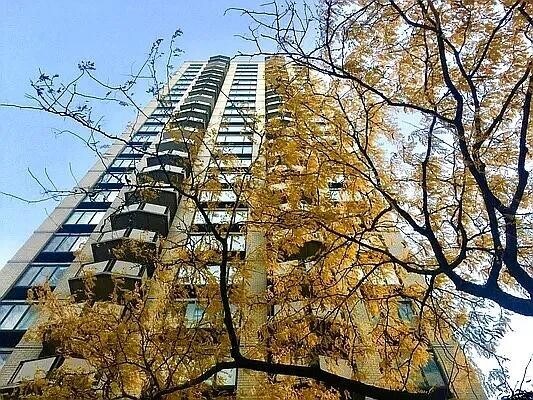 Building Photo - 407 Park Ave S