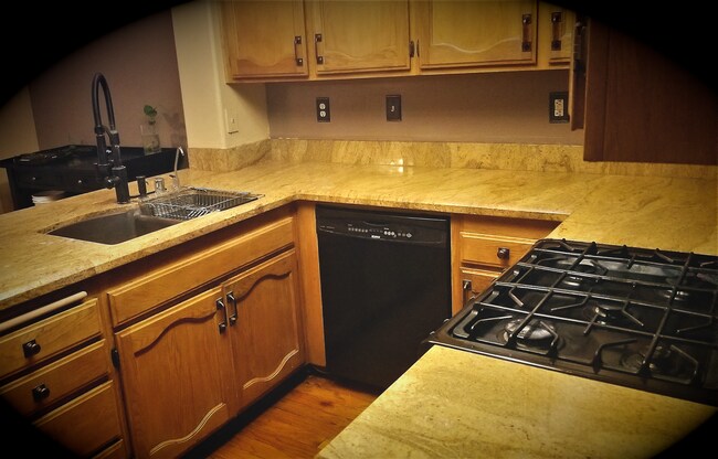 Kitchen, with BRAND NEW Stove, granite countertops, dishwasher, and double sink. - 18118 Flynn Dr